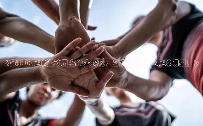 天富在线登录观星盘《安阳籍足球运动员名单大揭秘，教你认识这些足球明星！》