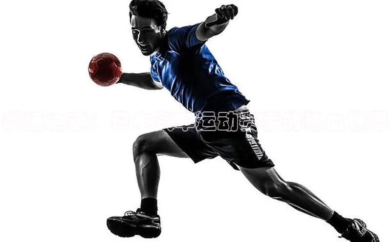 飙速之魂：日本汽车运动赛事的热血世界