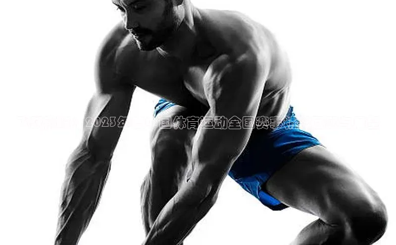 飞跃巅峰：2023年度中国体育运动全国赛事精彩回顾与展望