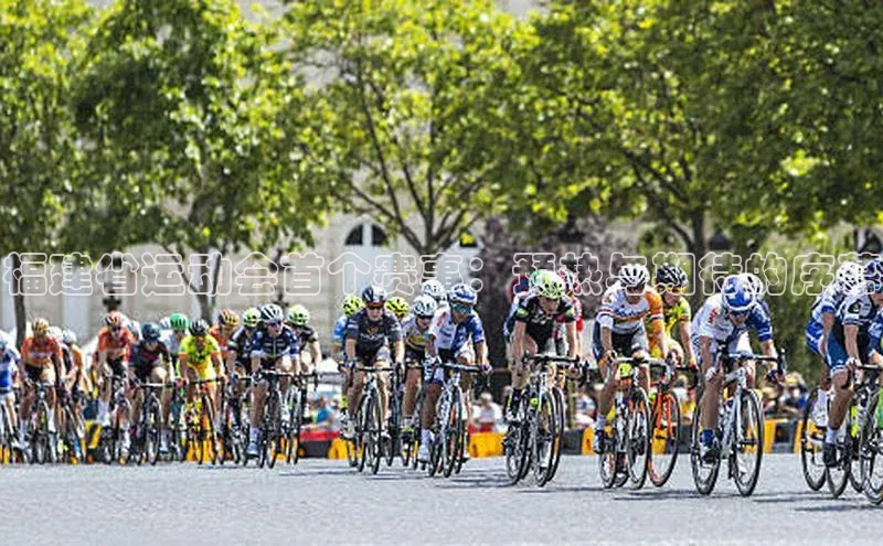 福建省运动会首个赛事：预热与期待的序幕