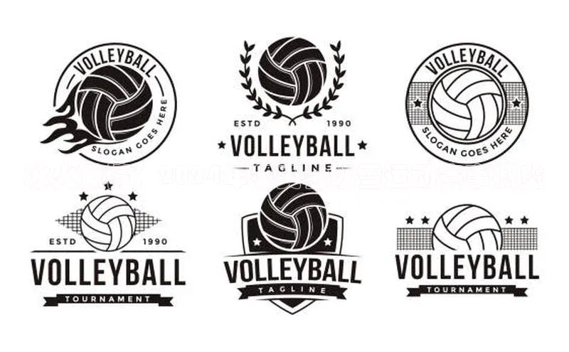 冰火激情：2024年冬奥会冰雪运动赛事概览