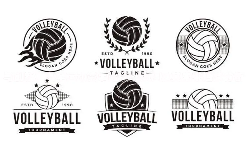 与创新：汽车运动赛事的发展历程及其未来趋势分析