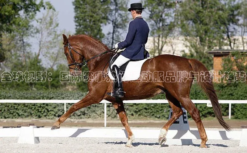 全球视野：国际赛事热门运动服品牌与设计趋势