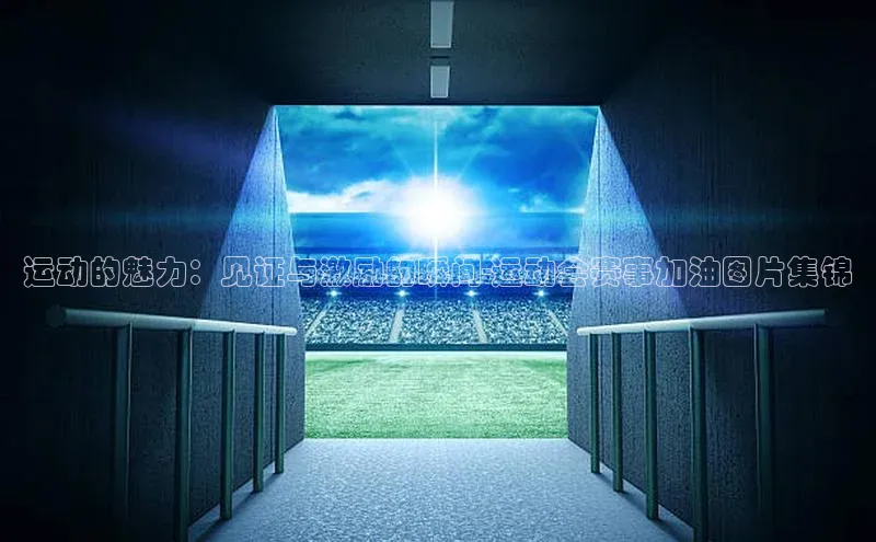 运动的魅力：见证与激励的瞬间-运动会赛事加油图片集锦