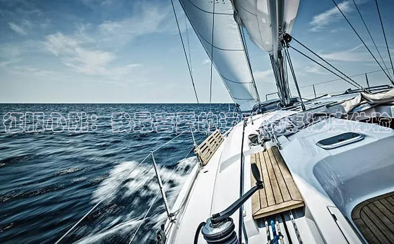 征服心跳：我最喜爱的运动赛事深度体验